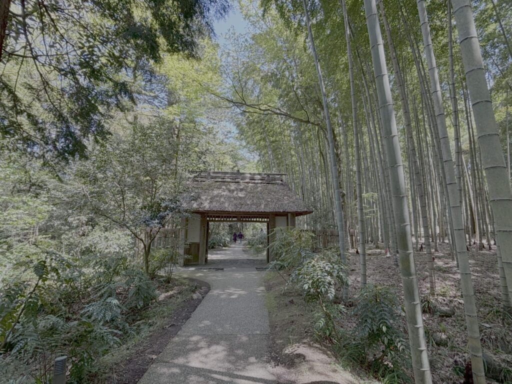 山門の中から外に向かって撮影。